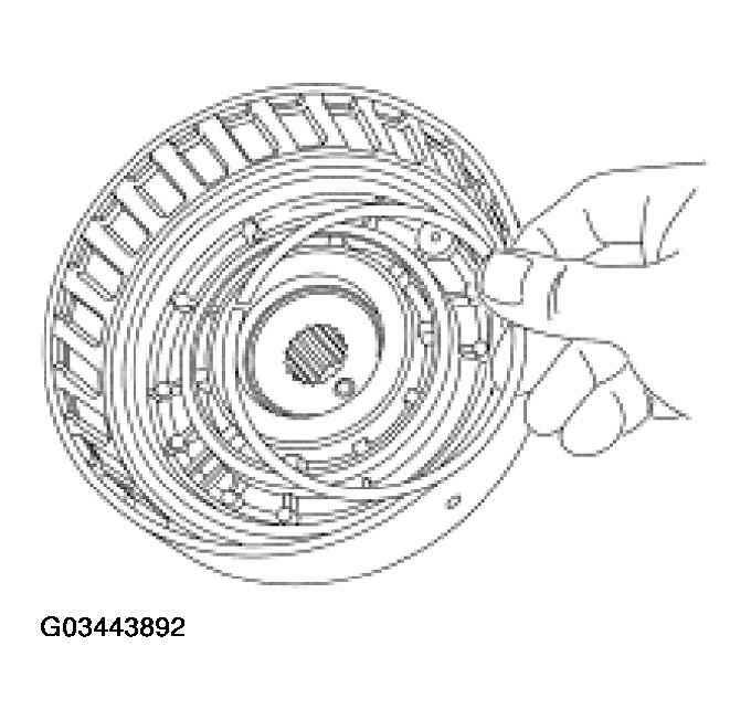 G03443892