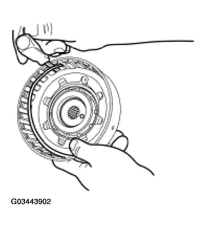 G03443902