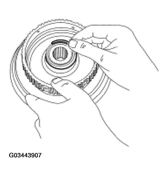 G03443907
