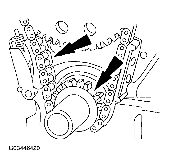 G03446420