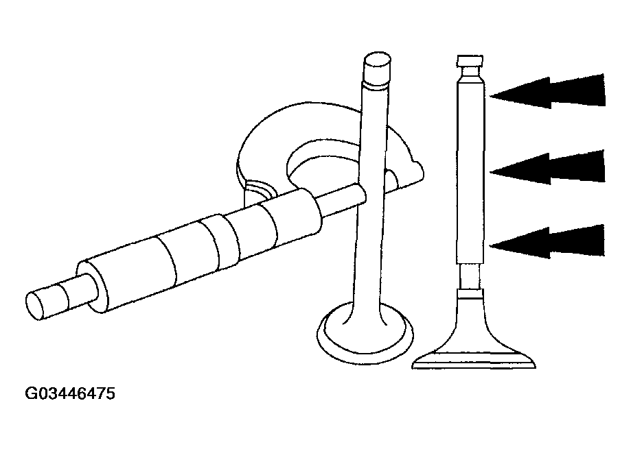 G03446475