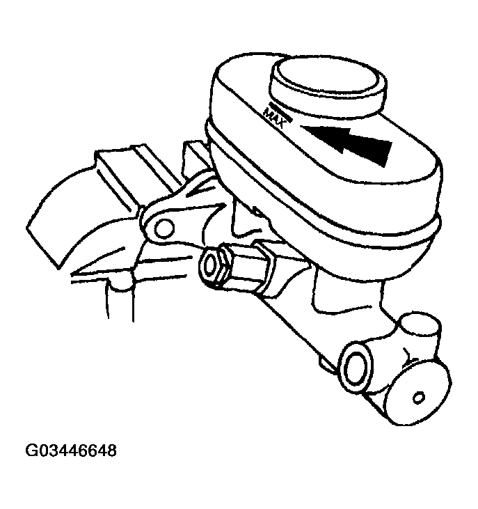 G03446648
