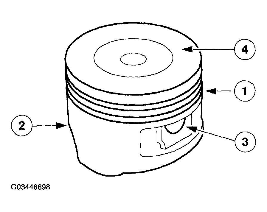 G03446698
