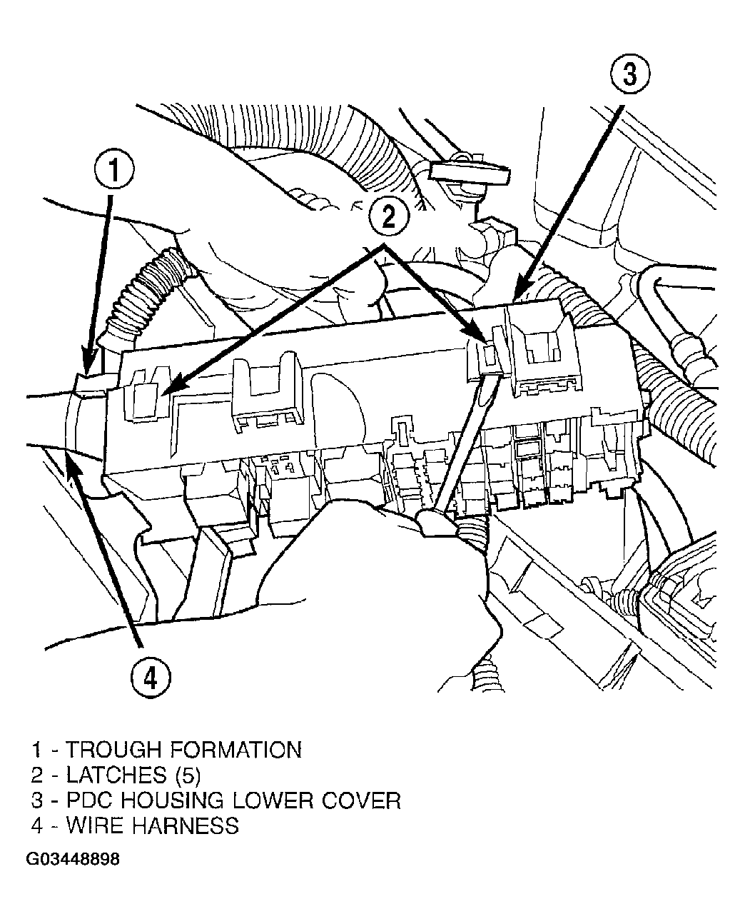 G03448898