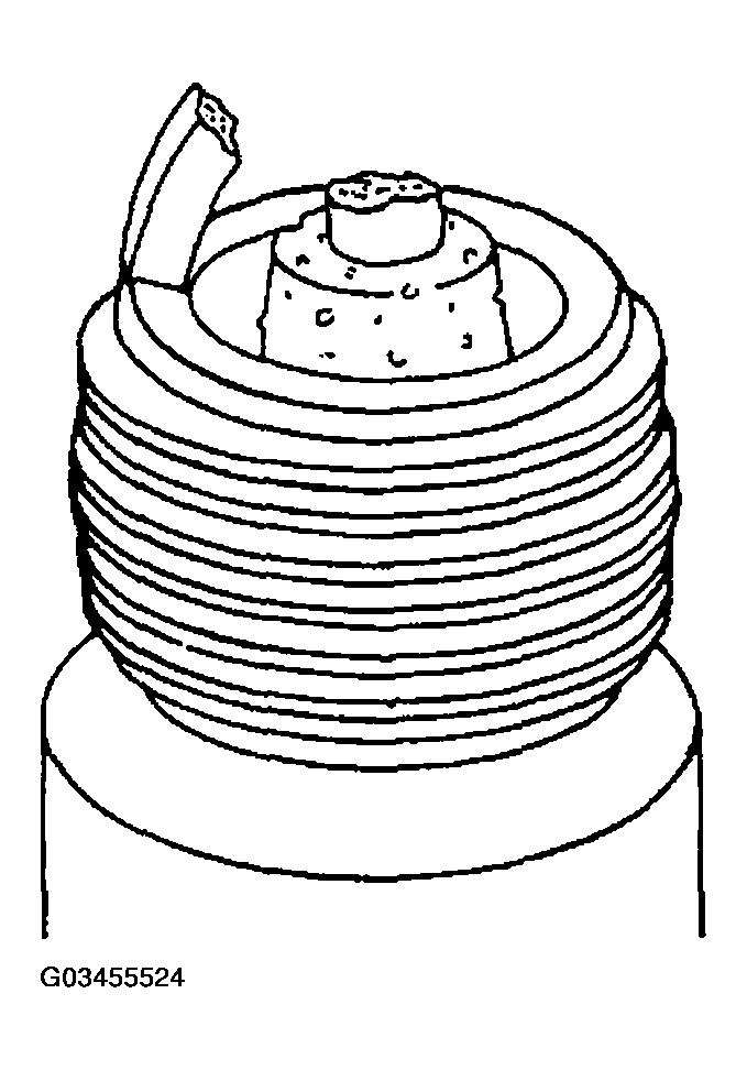 G03455524