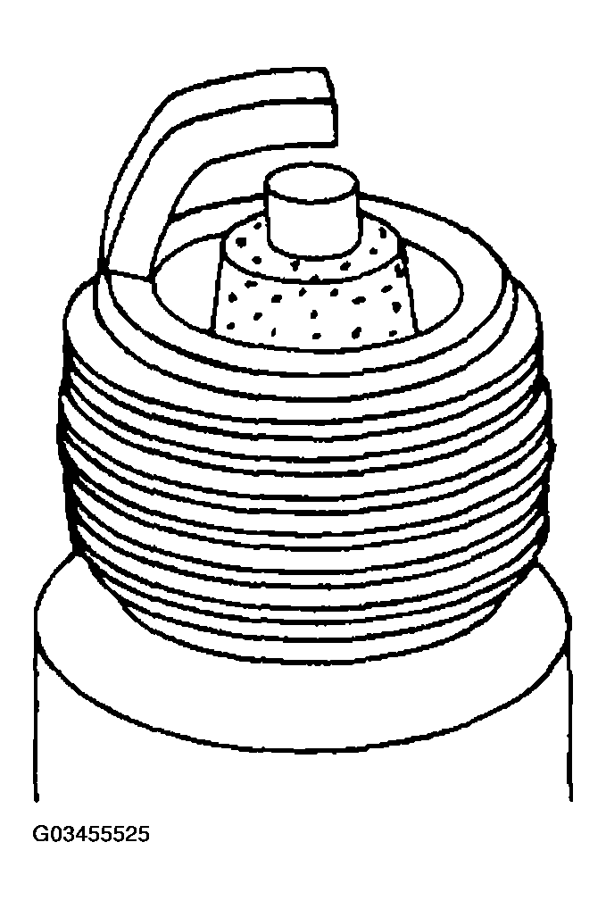 G03455525