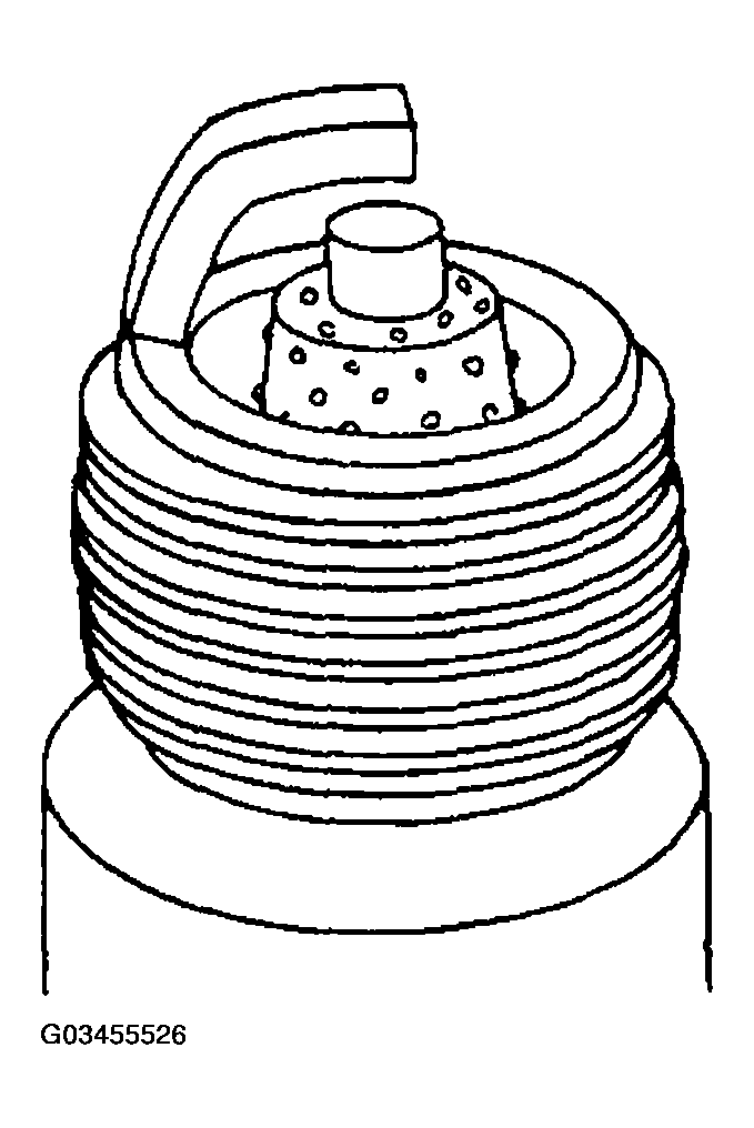 G03455526
