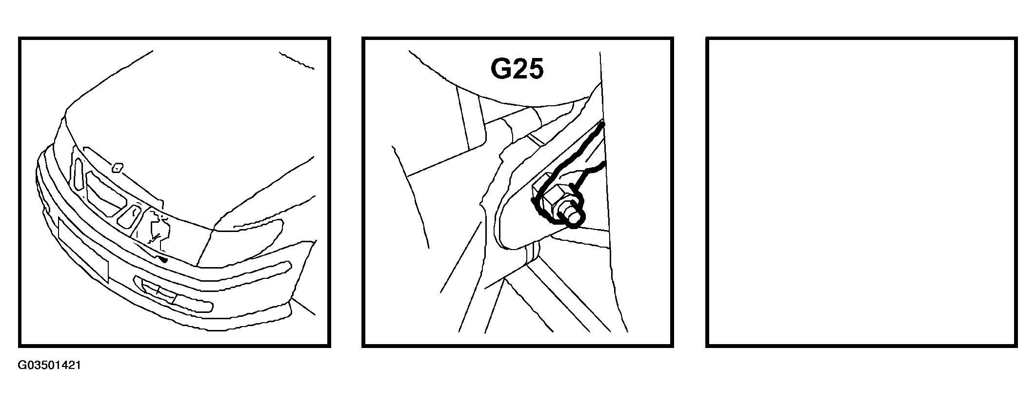 G03501421