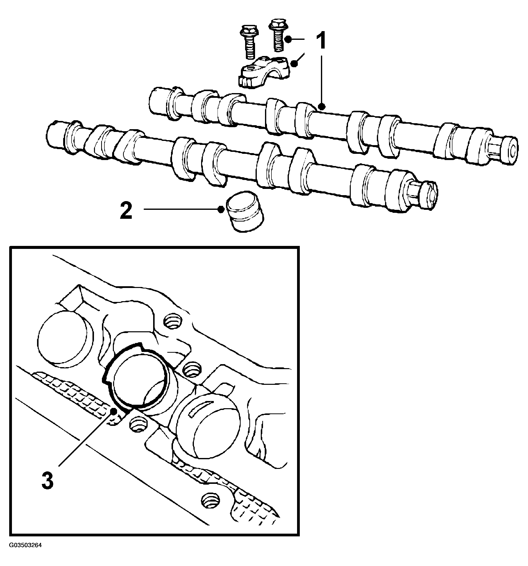G03503264