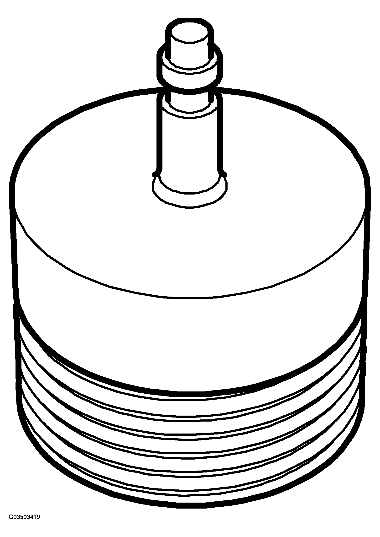G03503419