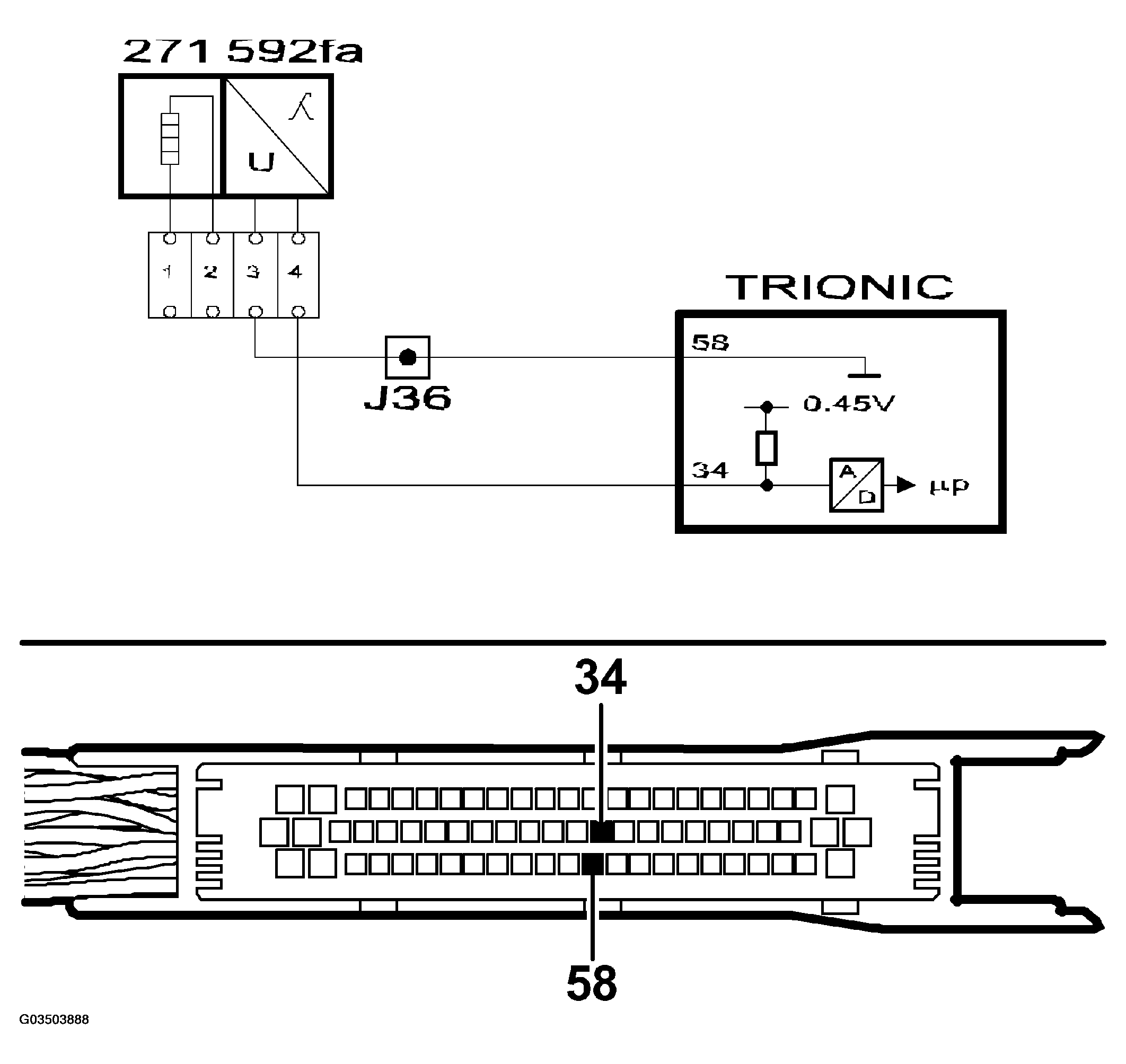 G03503888
