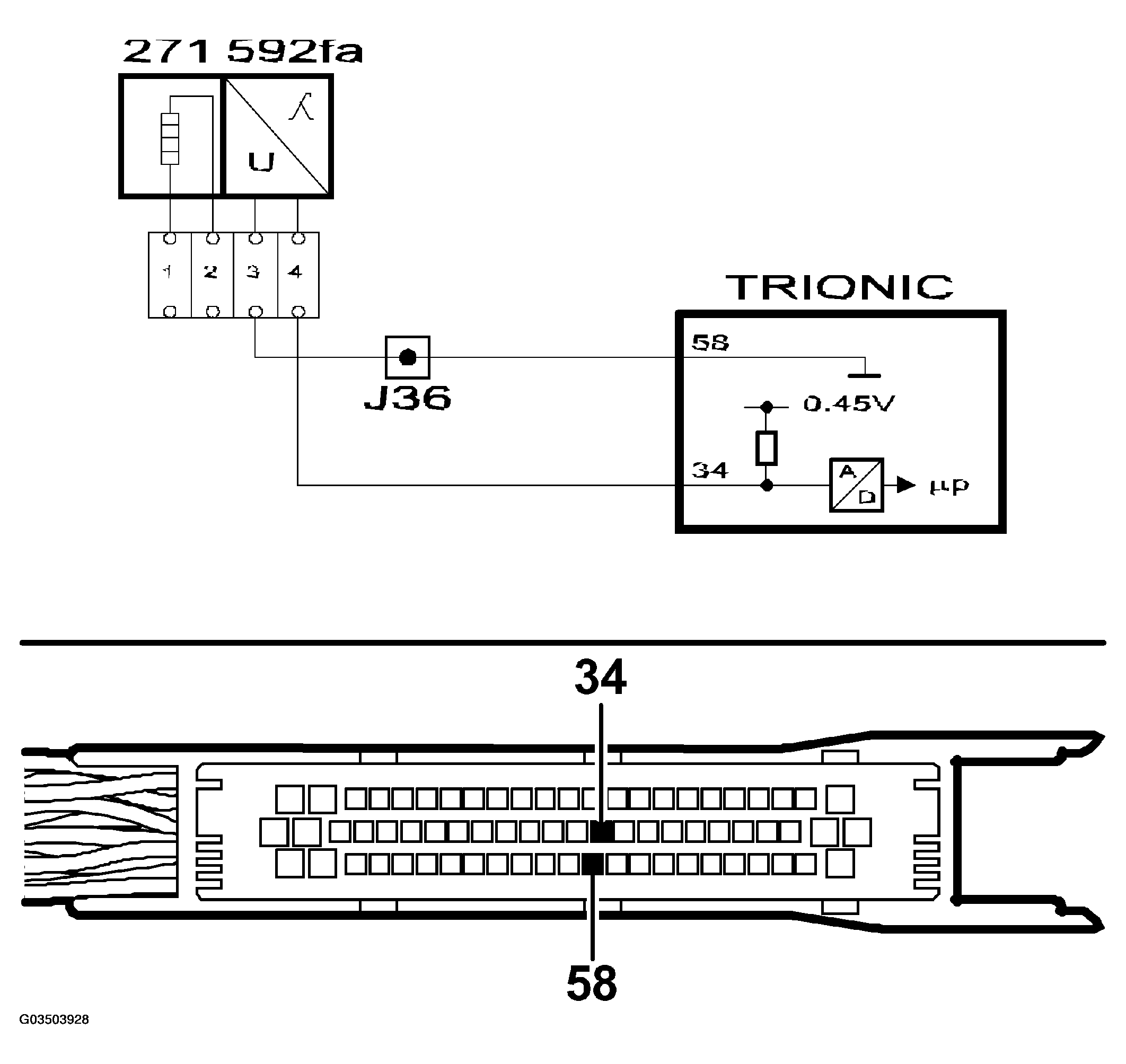 G03503928