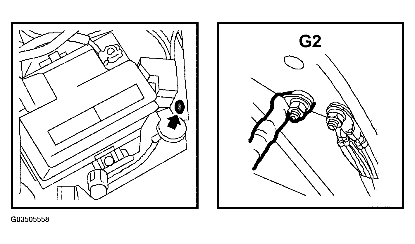 G03505558