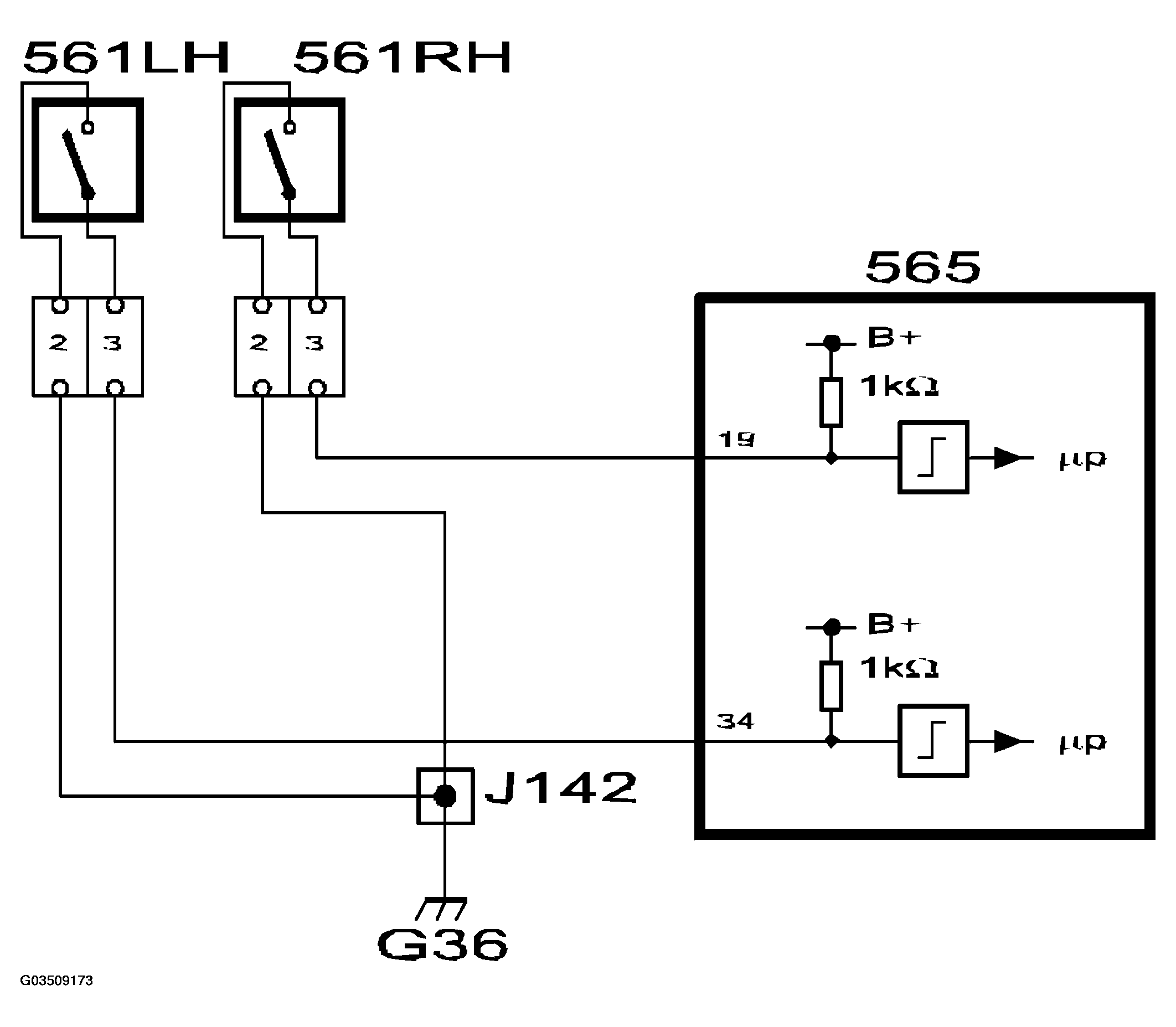 G03509173