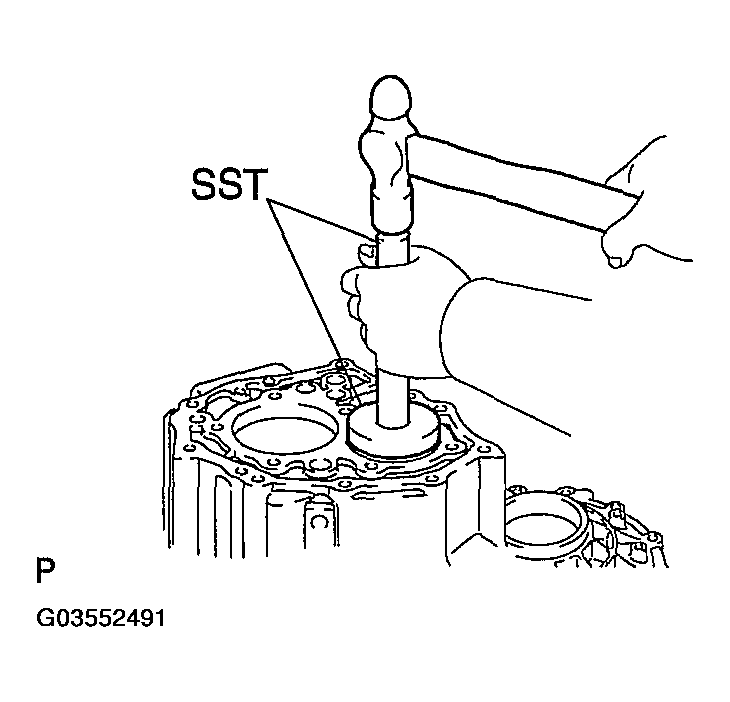G03552491
