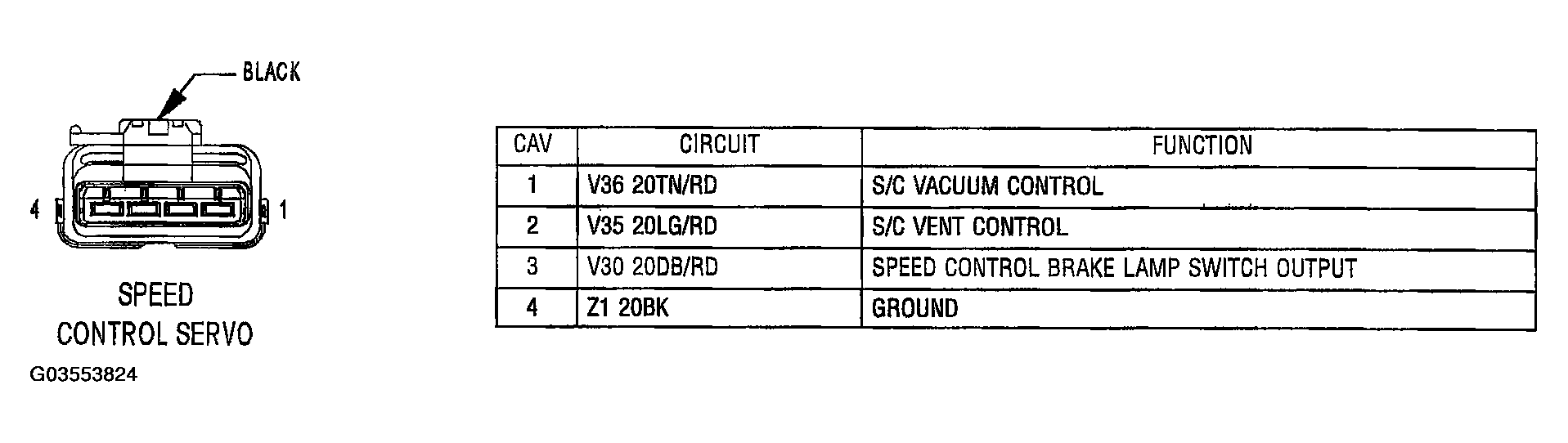 G03553824