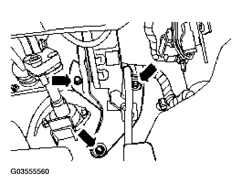 G03555560