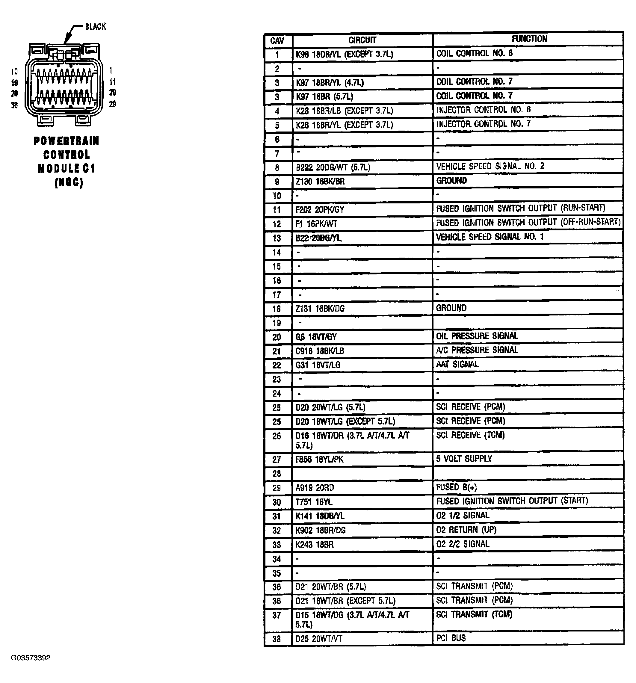 G03573392