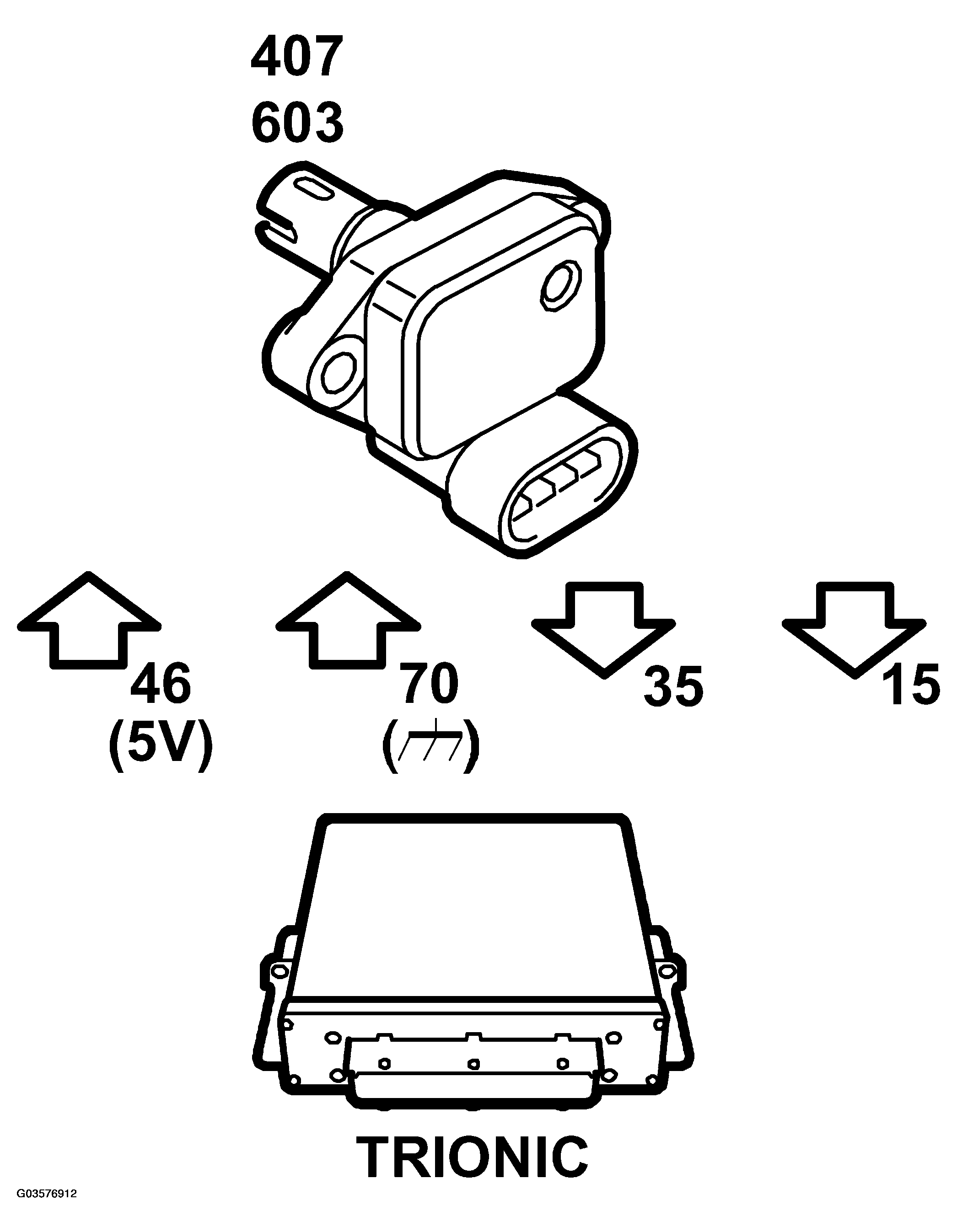 G03576912