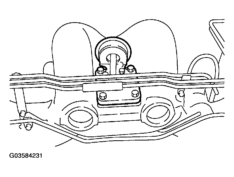 G03584231