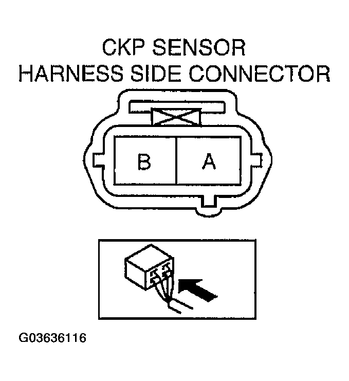 G03636116