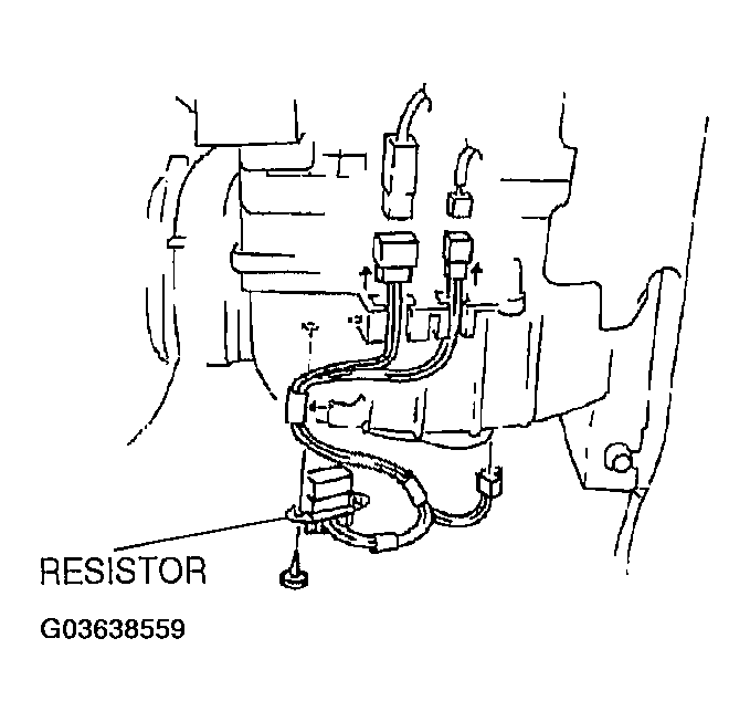 G03638559