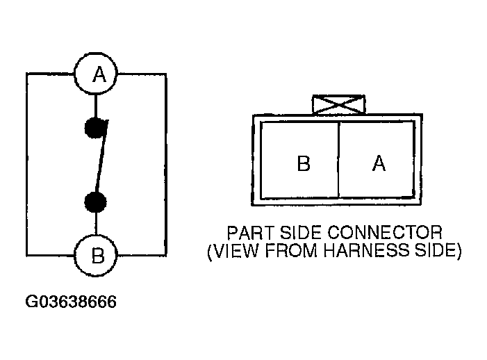 G03638666