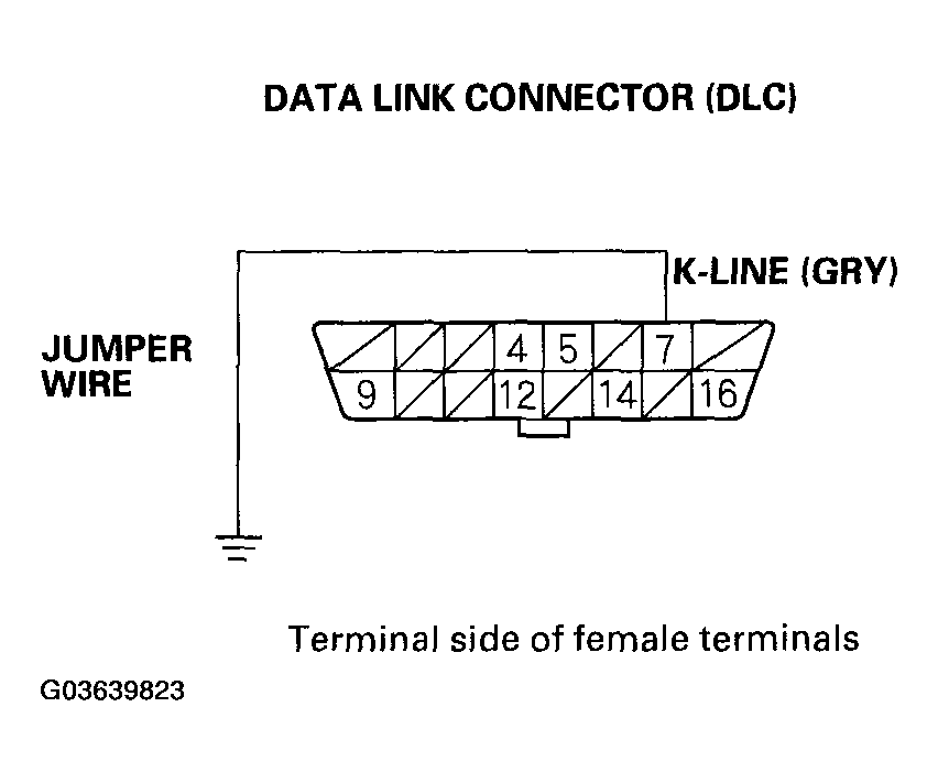 G03639823