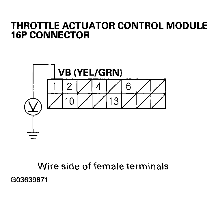 G03639871