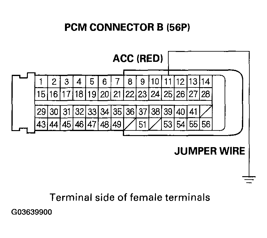 G03639900