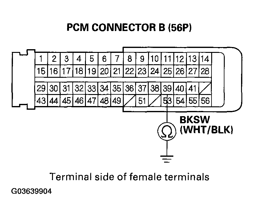 G03639904