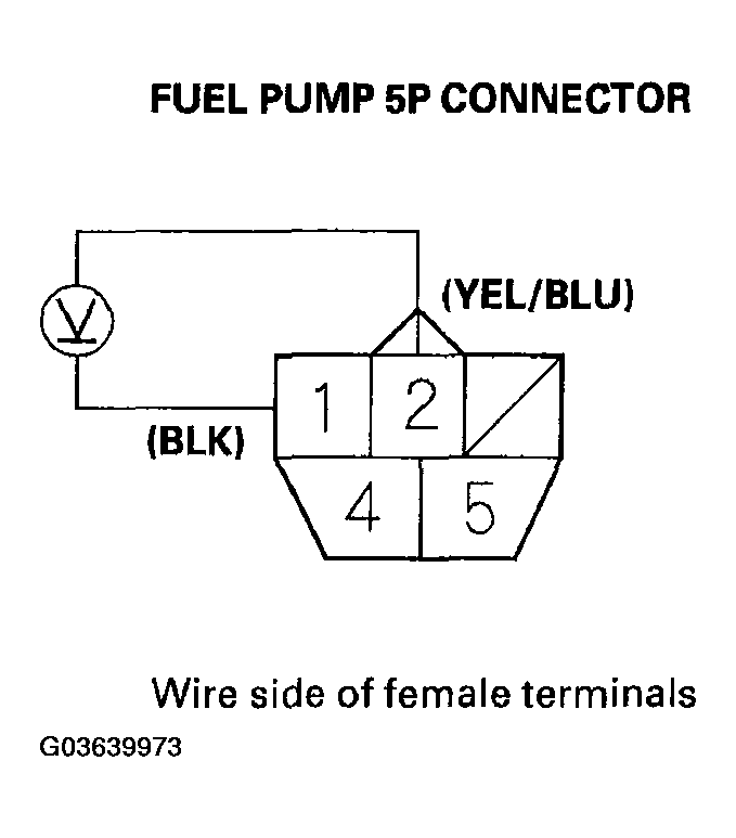 G03639973