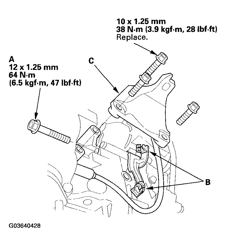G03640428