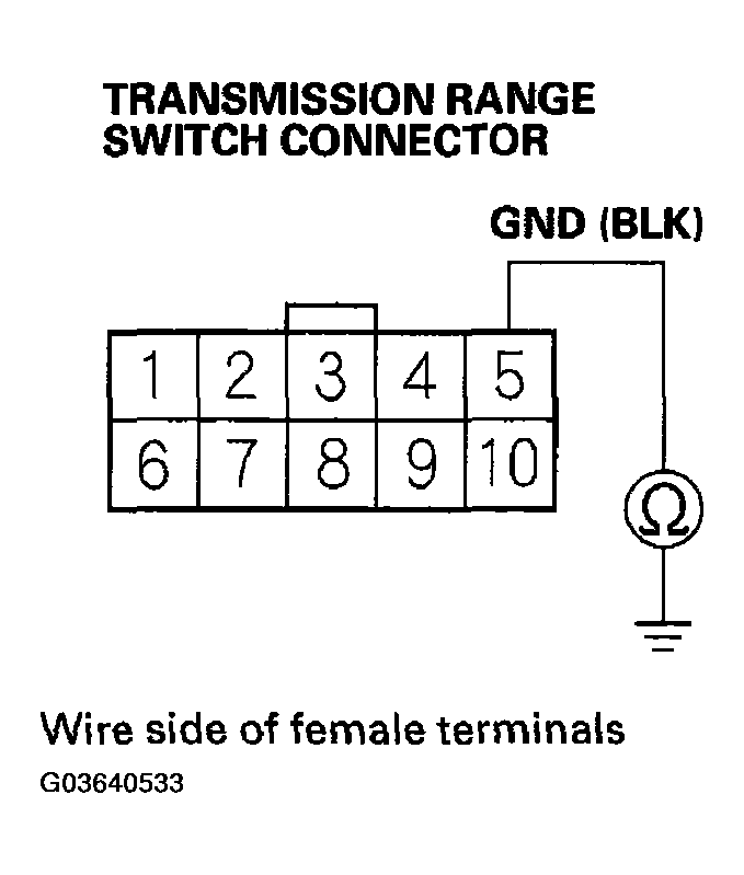 G03640533