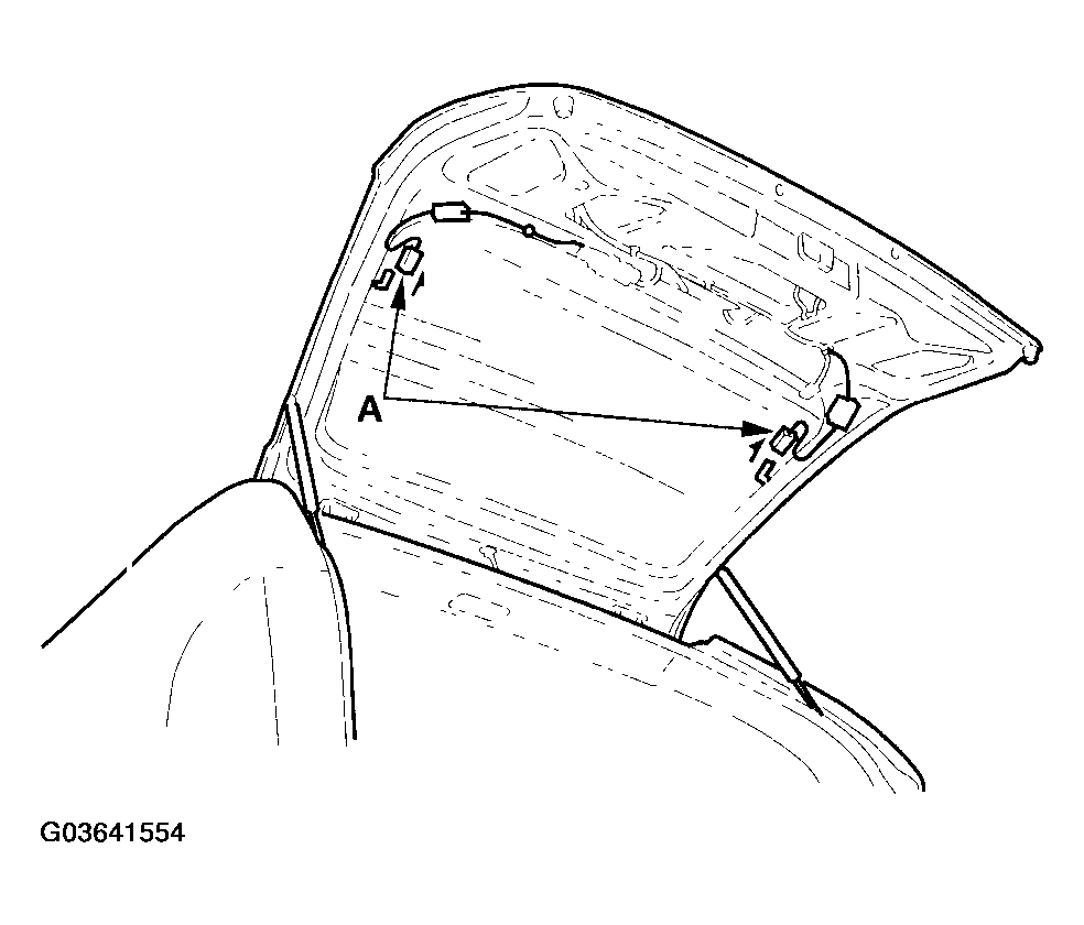 G03641554