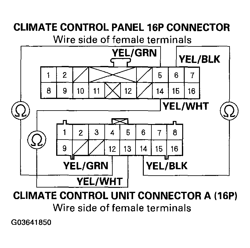 G03641850