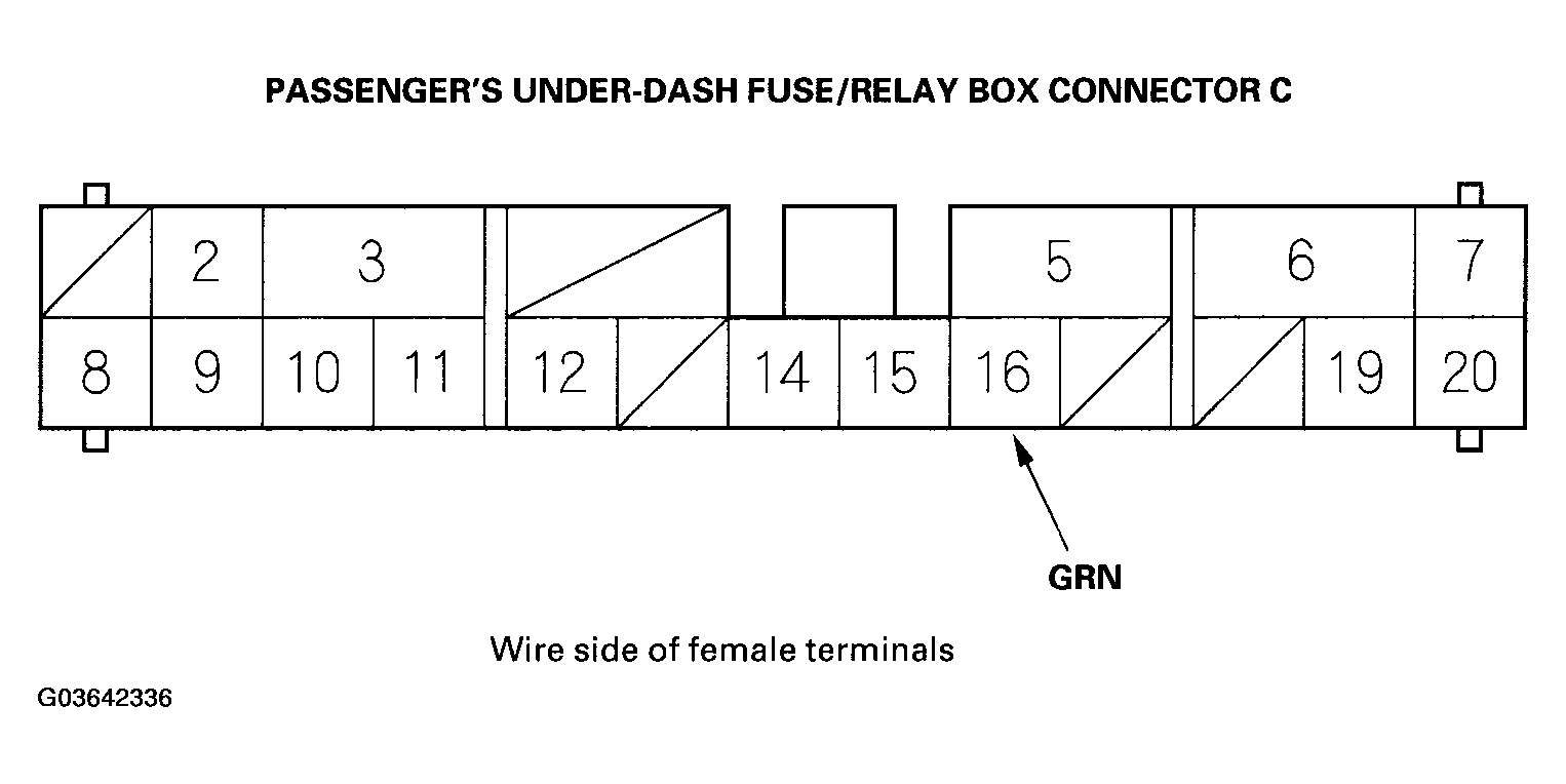 G03642336