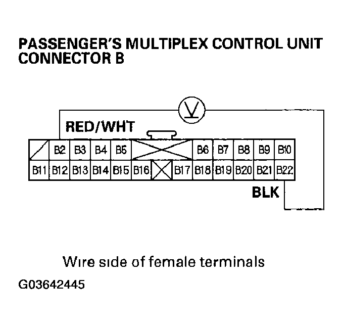 G03642445
