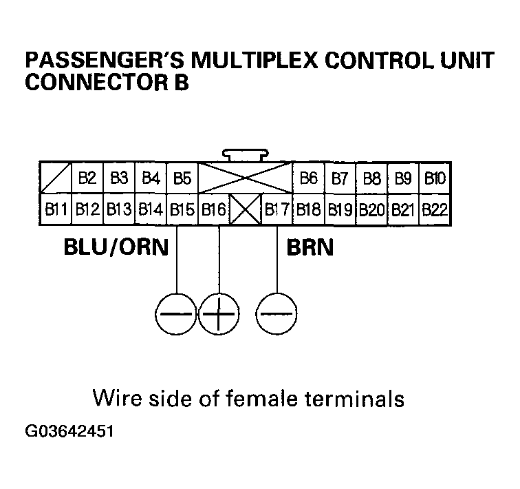 G03642451