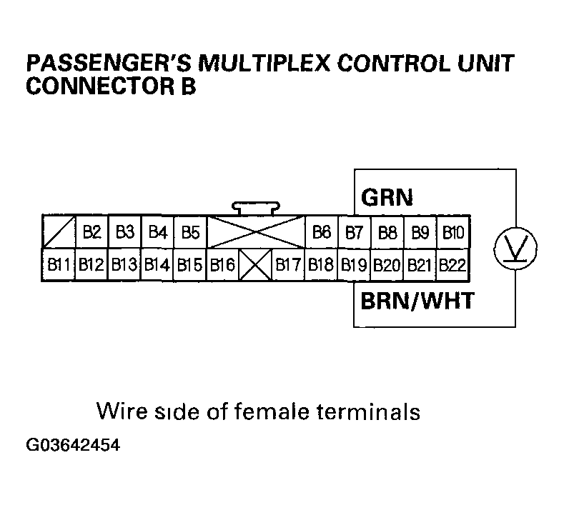 G03642454
