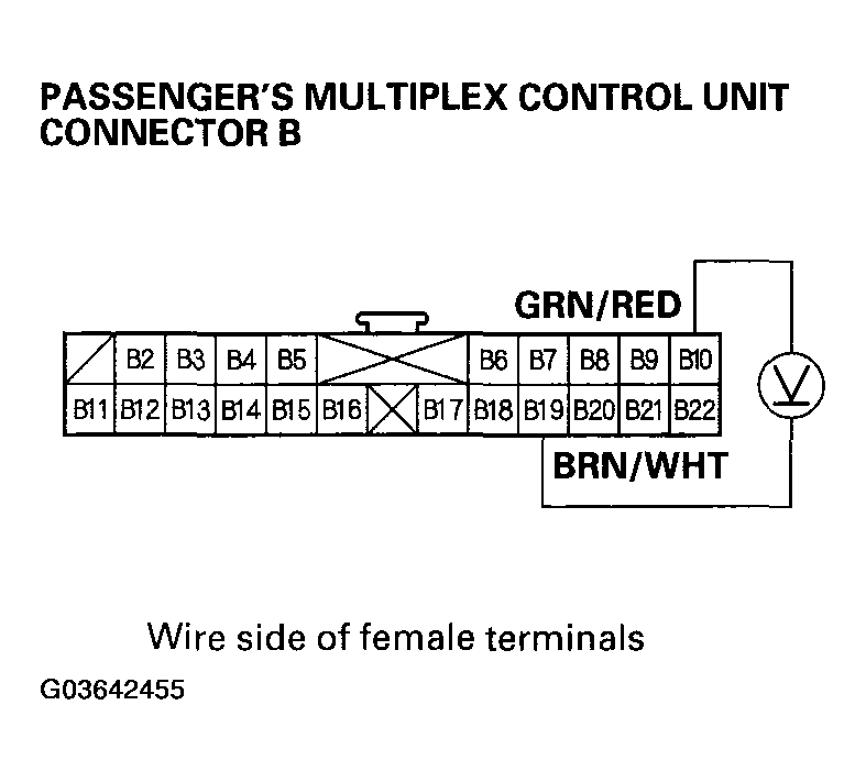 G03642455