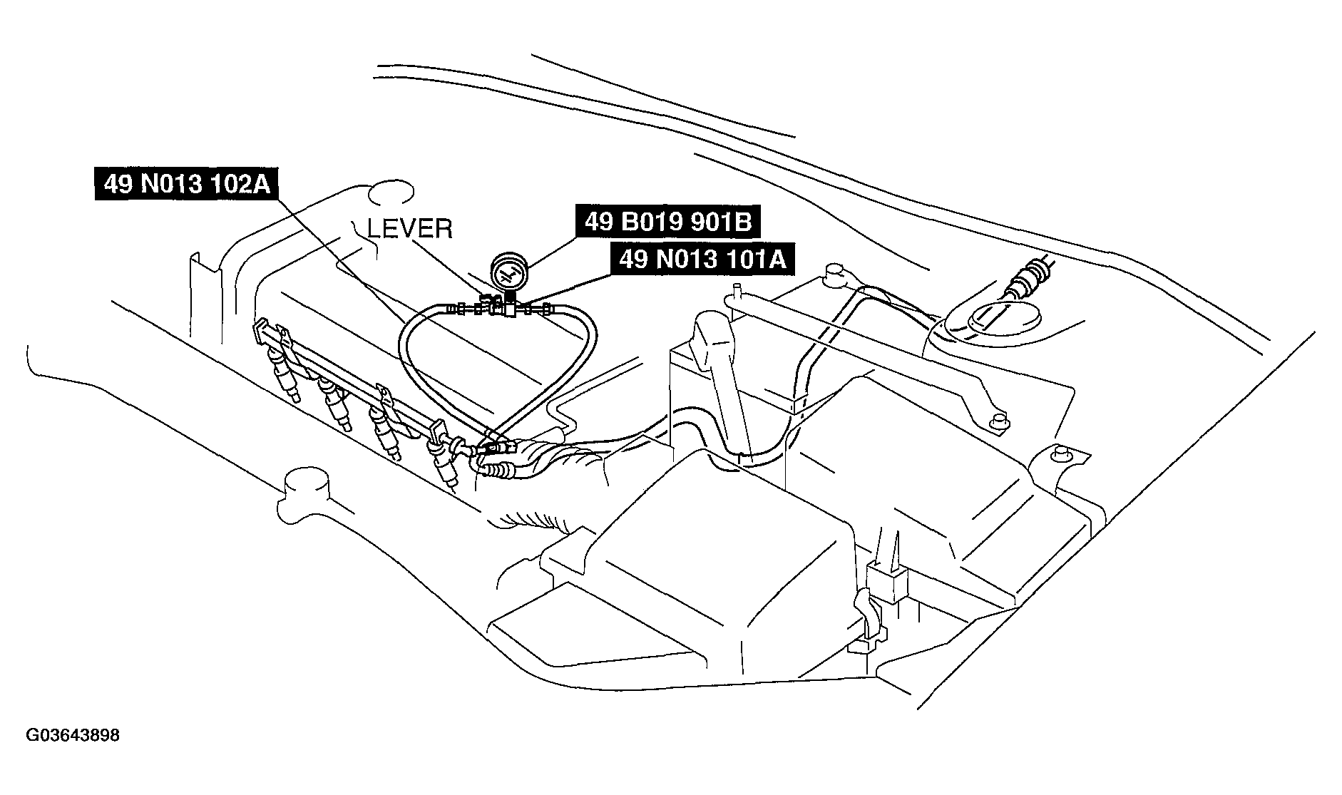 G03643898