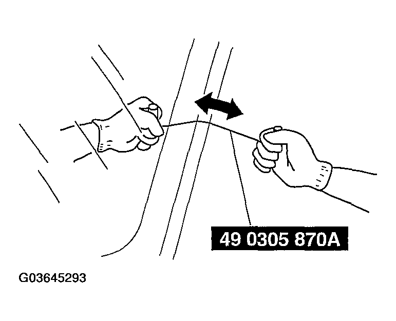 G03645293