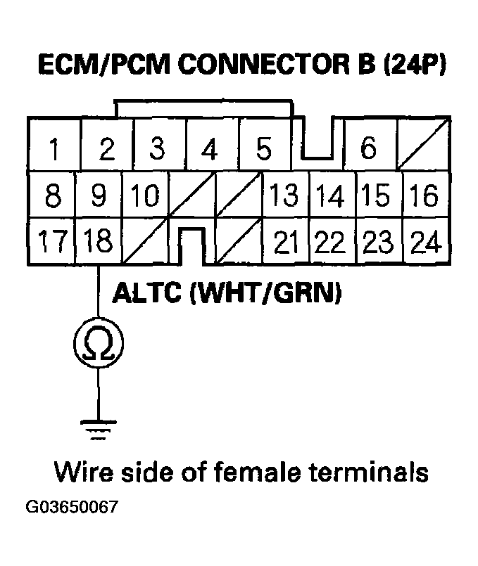 G03650067