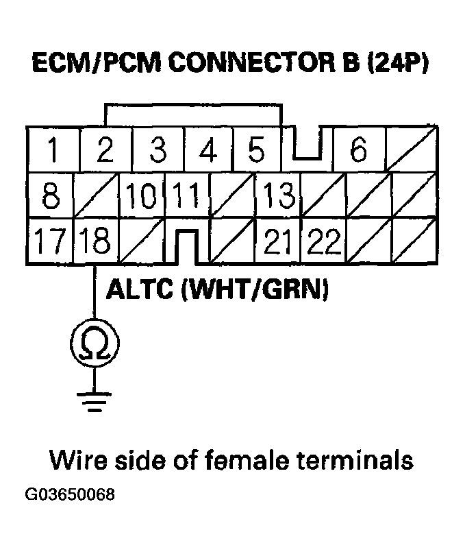 G03650068