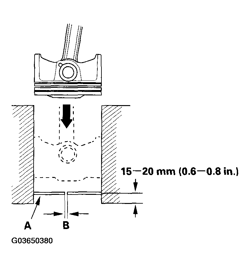 G03650380