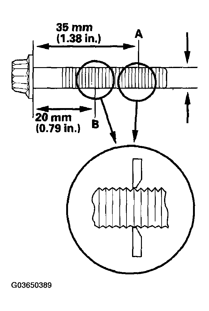 G03650389