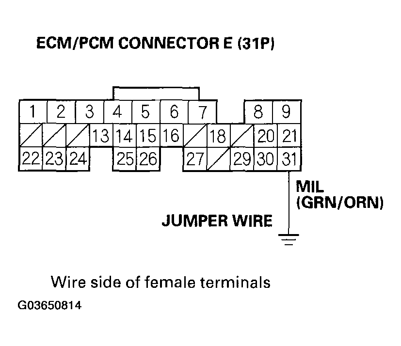 G03650814