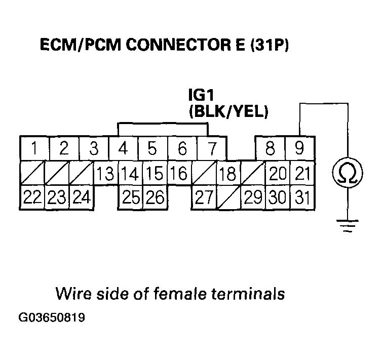 G03650819
