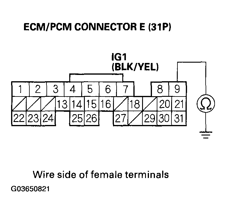 G03650821